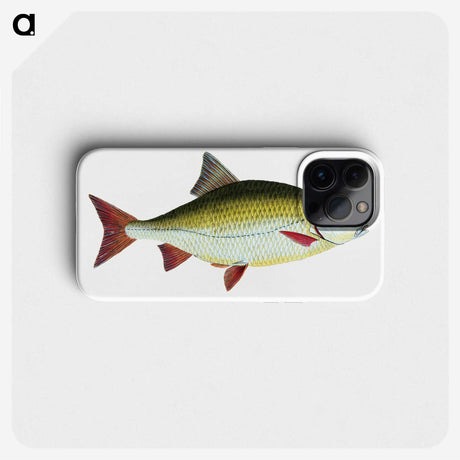 1-53_The-Natural-History-of-British-Fishes_phone