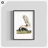 1-53_The-Viviparous-Quadrupeds_blk