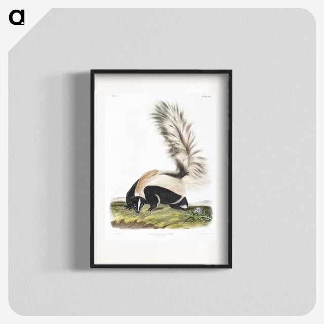 1-53_The-Viviparous-Quadrupeds_blk