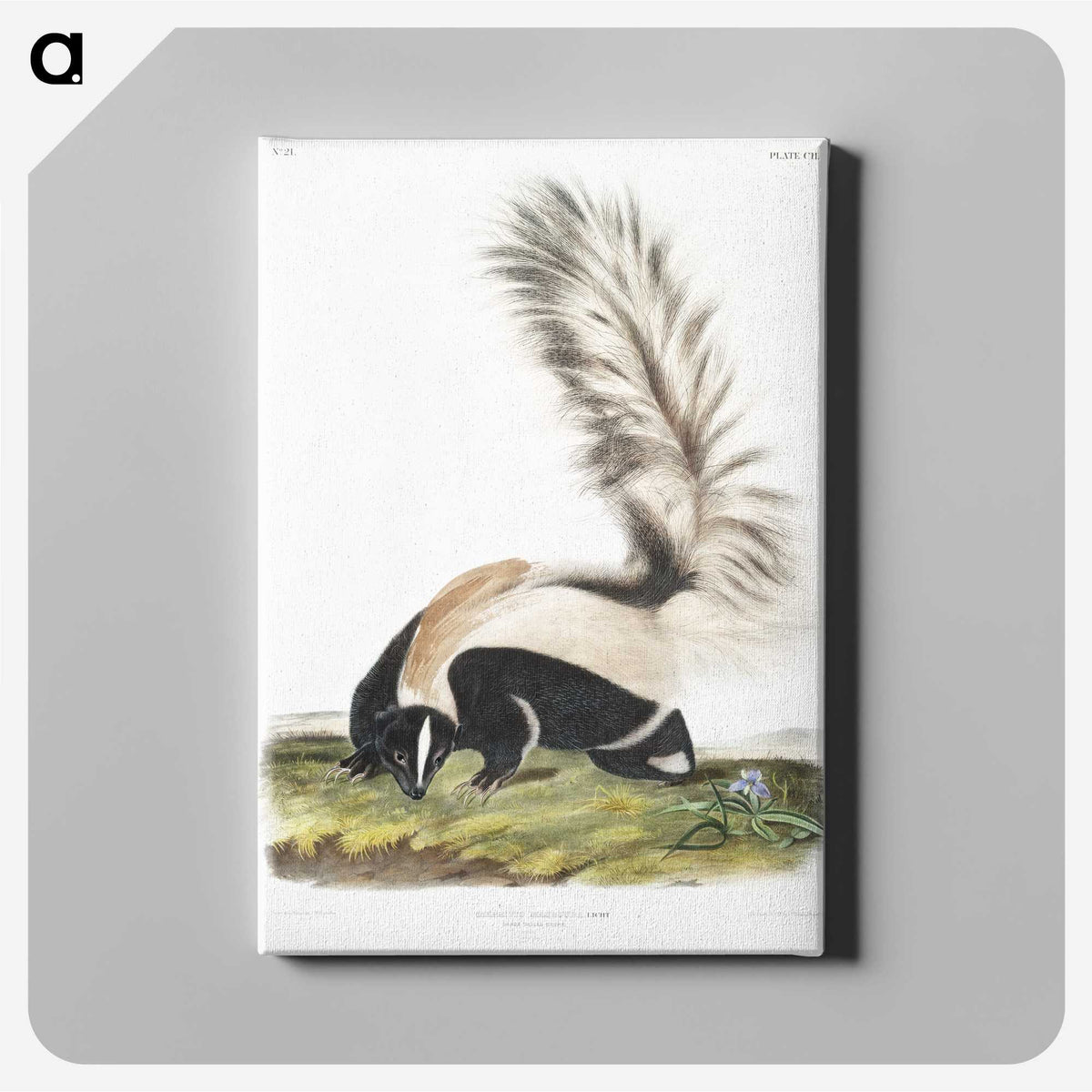 1-53_The-Viviparous-Quadrupeds_canvas