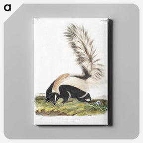 1-53_The-Viviparous-Quadrupeds_canvas