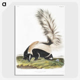 1-53_The-Viviparous-Quadrupeds_picture-crop