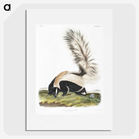 1-53_The-Viviparous-Quadrupeds_picture