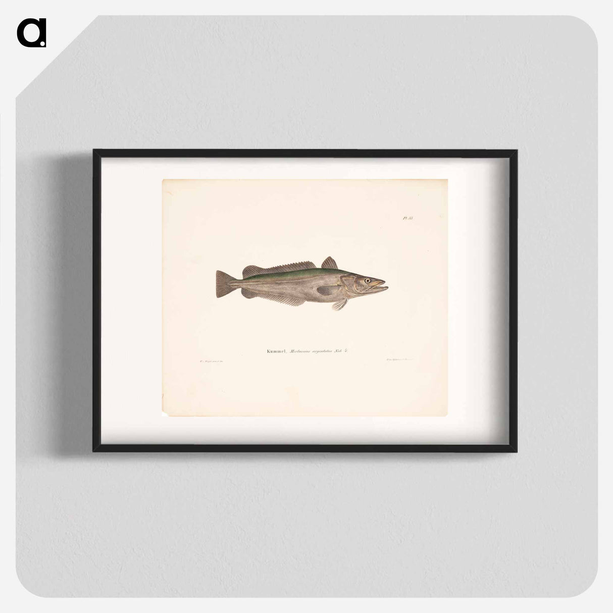 Hake - Wilhelm von Wright Poster.