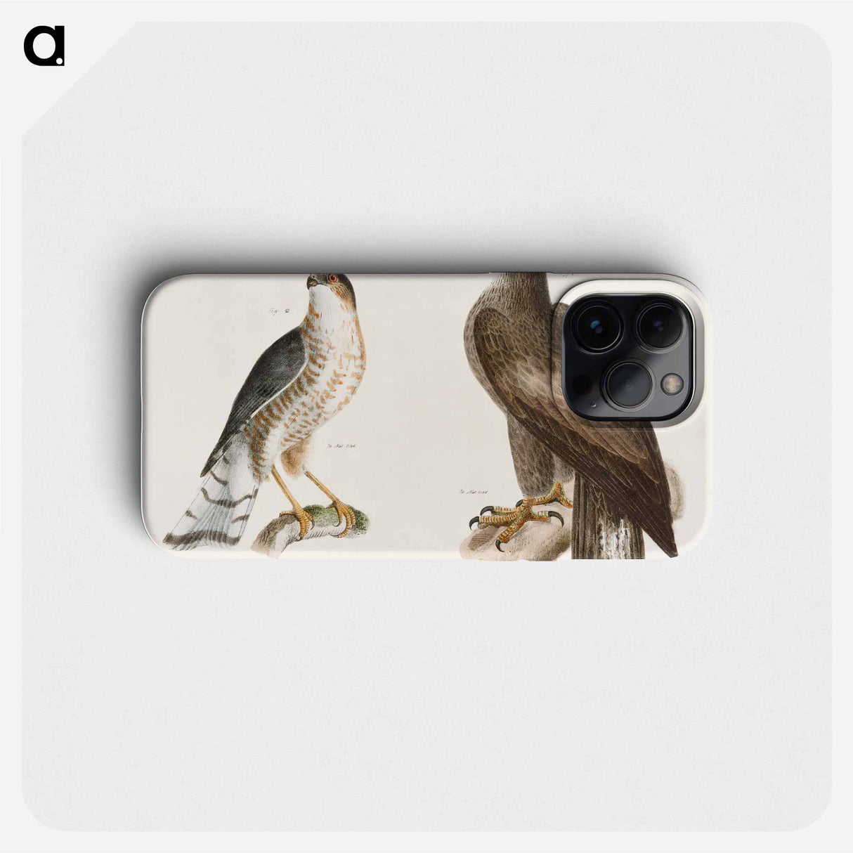 The Bald Eagle, The Slate-colored Hawk - ニューヨークの動物学 Phone Case.