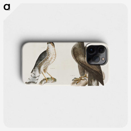 1-53_Zoology-of-New-York_phone