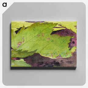 アートパネル-Heterocampa Biundata - アボット ハンダーソン セイヤー Canvas.