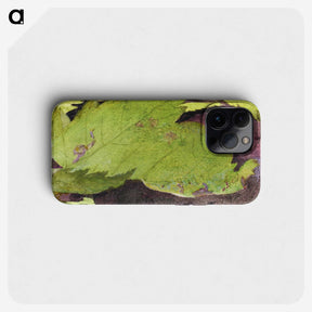 1-54_Abbott-Handerson-Thayer_phone
