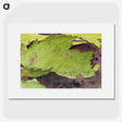 1-54_Abbott-Handerson-Thayer_picture