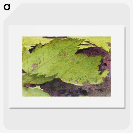 1-54_Abbott-Handerson-Thayer_picture