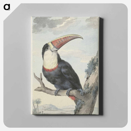 Red-billed Toucan - アールト シューマン Canvas.