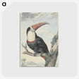 1-54_Aert-Schouman_postcard