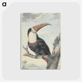 1-54_Aert-Schouman_postcard
