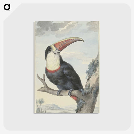 1-54_Aert-Schouman_postcard