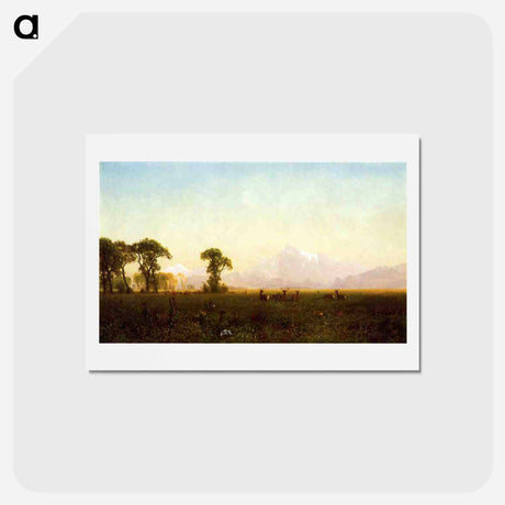 アートポストカード-Deer Grazing, Grand Tetons, Wyoming - アルバート ビアスタット Postcard.