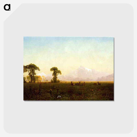 アートポストカード-Deer Grazing, Grand Tetons, Wyoming - アルバート ビアスタット Postcard.