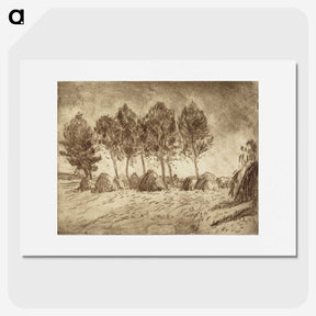 1-54_Alfred-William-Finch_picture