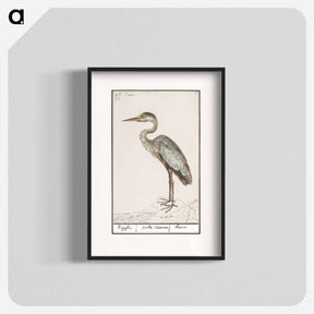 アートポスター-Great Blue Heron - アンセルムス ボエティウス デ ブート Poster.