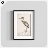 Great Blue Heron - アンセルムス ボエティウス デ ブート Poster.