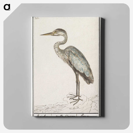 1-54_Anselmus-Boetius-de-Boodt_canvas