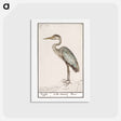 アートポストカード-Great Blue Heron - アンセルムス ボエティウス デ ブート Postcard.
