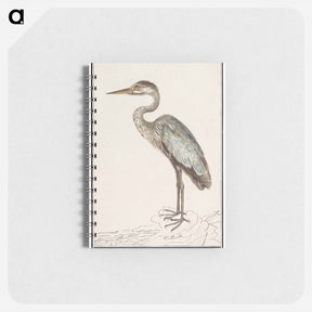 アートメモ帳-Great Blue Heron - アンセルムス ボエティウス デ ブート Memo.