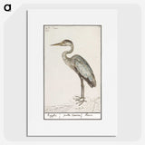 1-54_Anselmus-Boetius-de-Boodt_picture