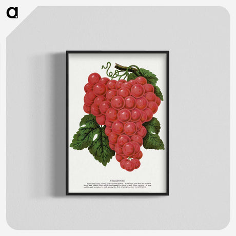 1-54_Botanical-Specimen-Plates_blk-crop