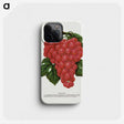 1-54_Botanical-Specimen-Plates_phone