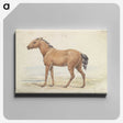 1-54_Charles-Hamilton-Smith_canvas