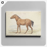 1-54_Charles-Hamilton-Smith_canvas