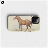 1-54_Charles-Hamilton-Smith_phone