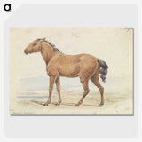 1-54_Charles-Hamilton-Smith_picture-crop
