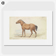 1-54_Charles-Hamilton-Smith_picture