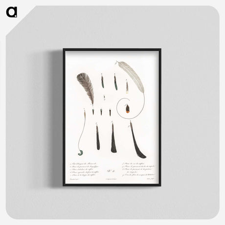 1-54_Des-Oiseaux-de-Paradis_blk-crop