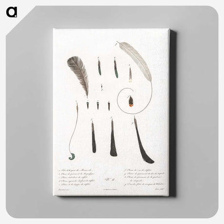 1-54_Des-Oiseaux-de-Paradis_canvas