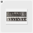 アートポストカード-Animal Locomotion
 - エドワード マイブリッジ Postcard.