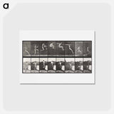アートポストカード-Animal Locomotion
 - エドワード マイブリッジ Postcard.