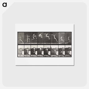 アートポストカード-Animal Locomotion
 - エドワード マイブリッジ Postcard.