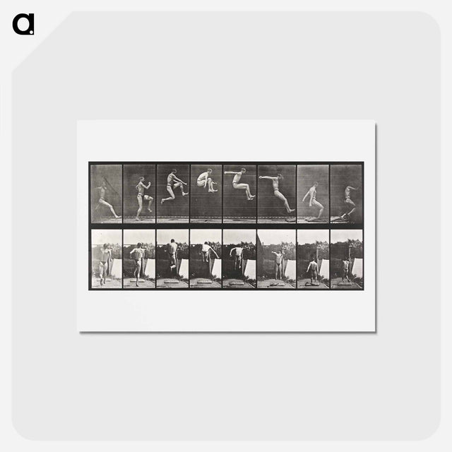アートポストカード-Animal Locomotion
 - エドワード マイブリッジ Postcard.