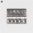 1-54_Eadweard-Muybridge_memo