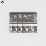 1-54_Eadweard-Muybridge_memo