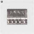 アートメモ帳-Animal Locomotion
 - エドワード マイブリッジ Memo.