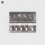 アートメモ帳-Animal Locomotion
 - エドワード マイブリッジ Memo.