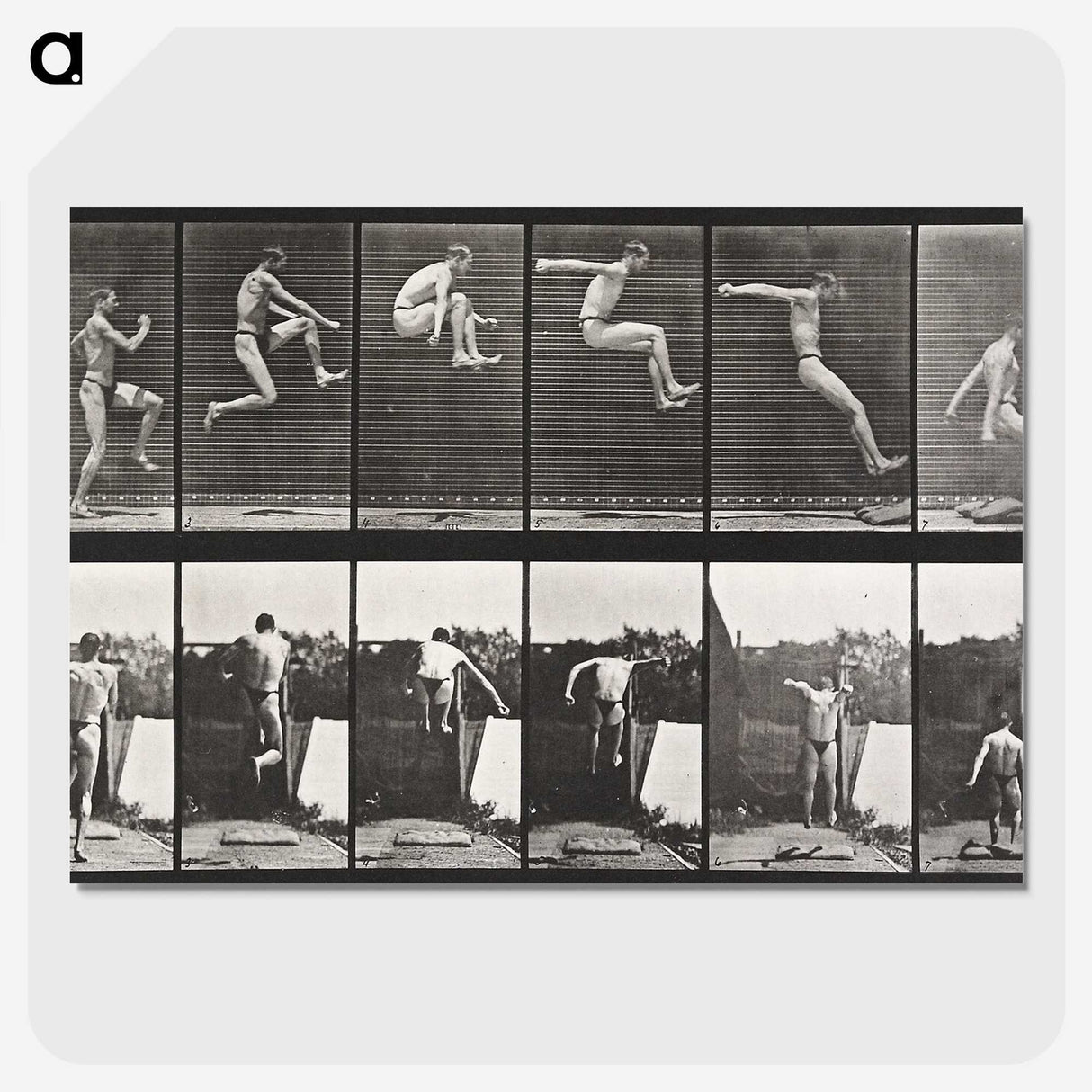 1-54_Eadweard-Muybridge_picture-crop