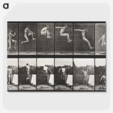 1-54_Eadweard-Muybridge_picture-crop