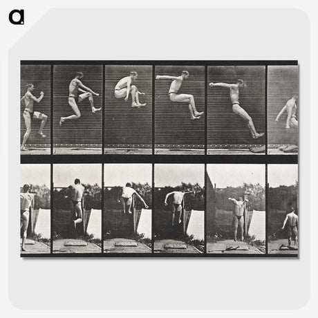 1-54_Eadweard-Muybridge_picture-crop
