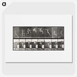 1-54_Eadweard-Muybridge_picture