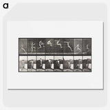 1-54_Eadweard-Muybridge_picture