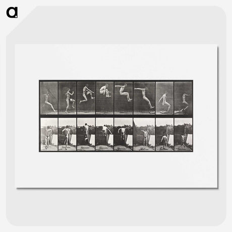 1-54_Eadweard-Muybridge_picture